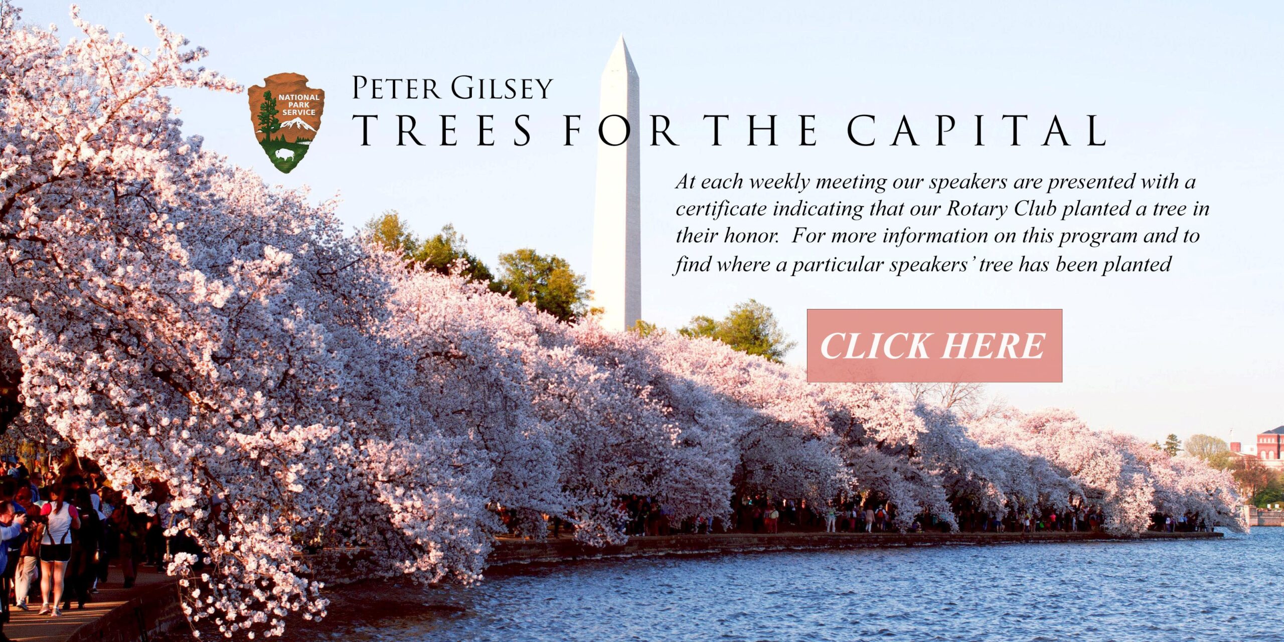 Peter Gilsey Trees for the Capital. At each weekly meeting, our speaker is presented with a certificate indicating that our Rotary Club has planted a tree in their honor. For more information on this program and to find where a particular speaker's tree has been planted, click here.